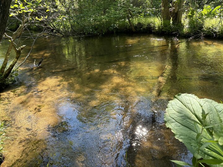 Property Photo: 2.27 Acres W Shelby Road MI 49455