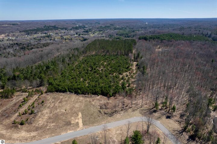 Property Photo:  Hoosier Valley Road  MI 49685 