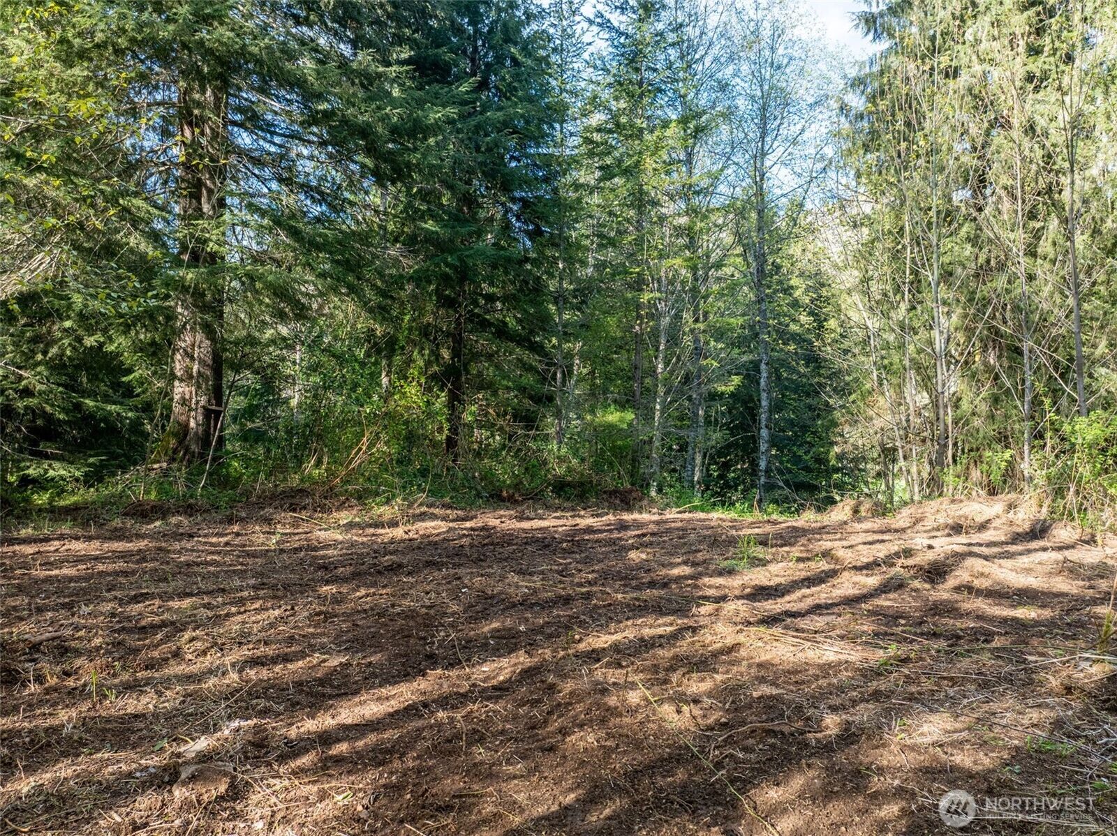 Property Photo: 0 Davis Lake Road WA 98356