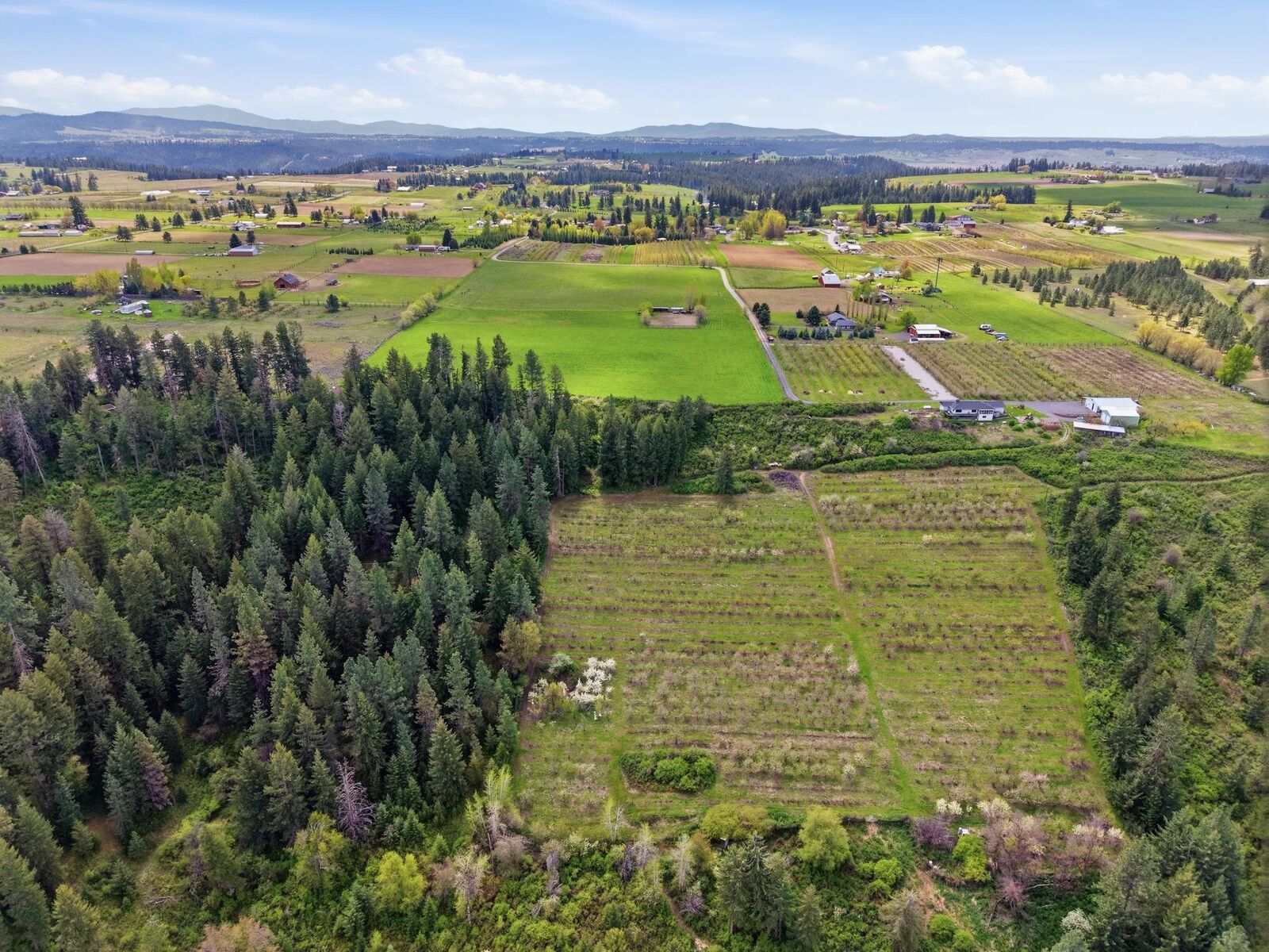 Property Photo:  Xxxx Woolard Rd  WA 99005 