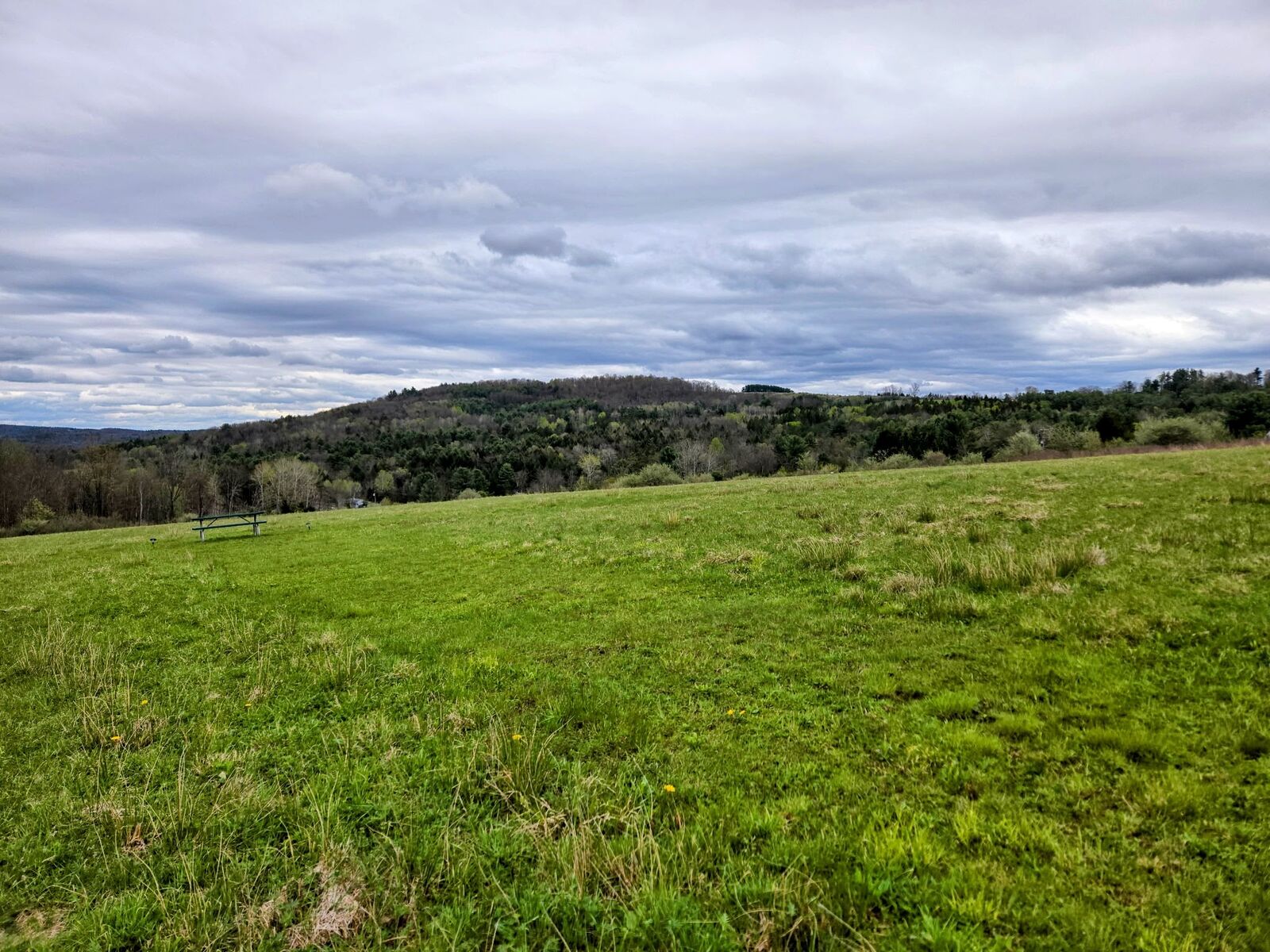 Property Photo:  143 Swift Road  NY 13905 