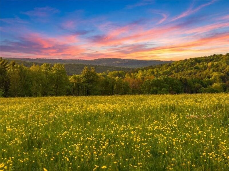 Property Photo:  143 Swift Road  NY 13905 