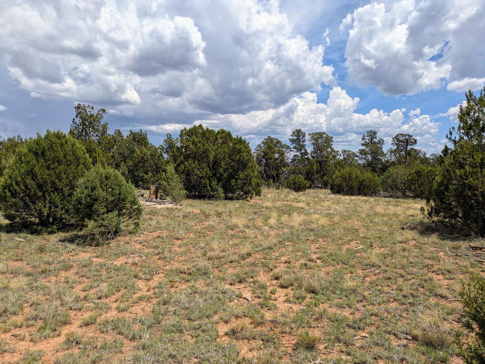 Property Photo:  8384 Haven Crest Drive  AZ 86024 