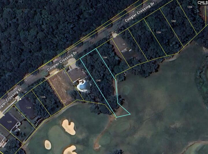 Property Photo: 1240 Coogler Crossing SC 29016
