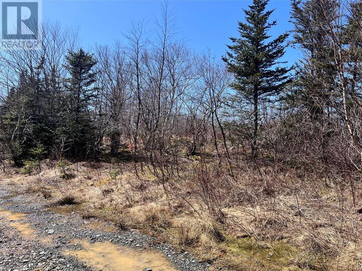 Lot 13 Whiskey Hill — photo 1