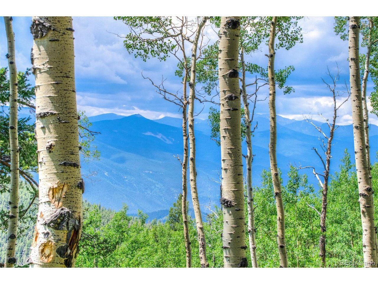 Property Photo:  0 Robinson Hill Rd  CO 80403 