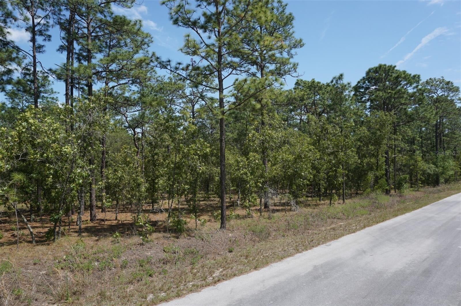Property Photo:  Tbd NW Tree Top Road  FL 34431 