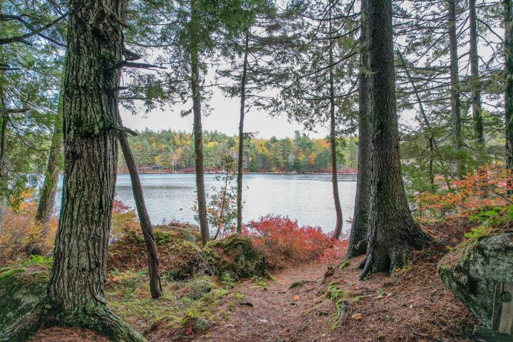 Property Photo:  155 Long Point Way  ME 04472 