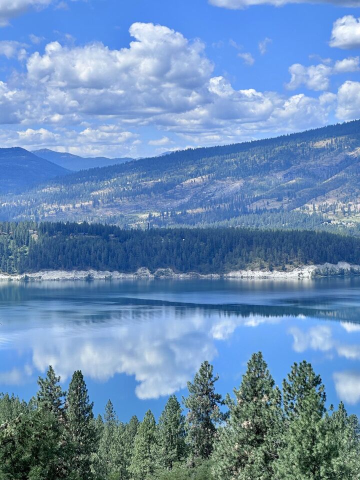 Property Photo: 1234 Goldedge Mine Rd WA 99141
