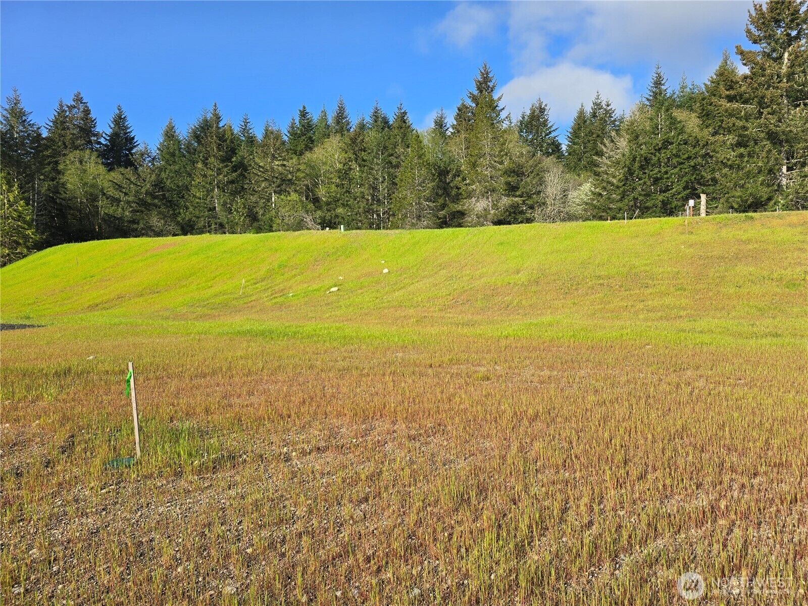 Property Photo:  41 E Virgil Drive W  WA 98524 