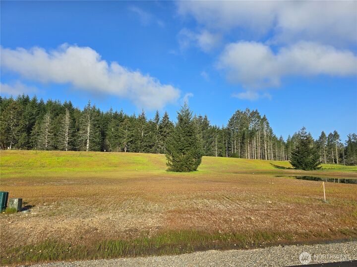 Property Photo:  91 E Virgil Drive W  WA 98524 