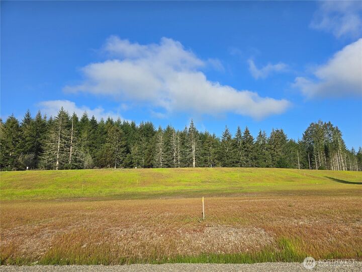Property Photo:  71 E Virgil Drive W  WA 98524 