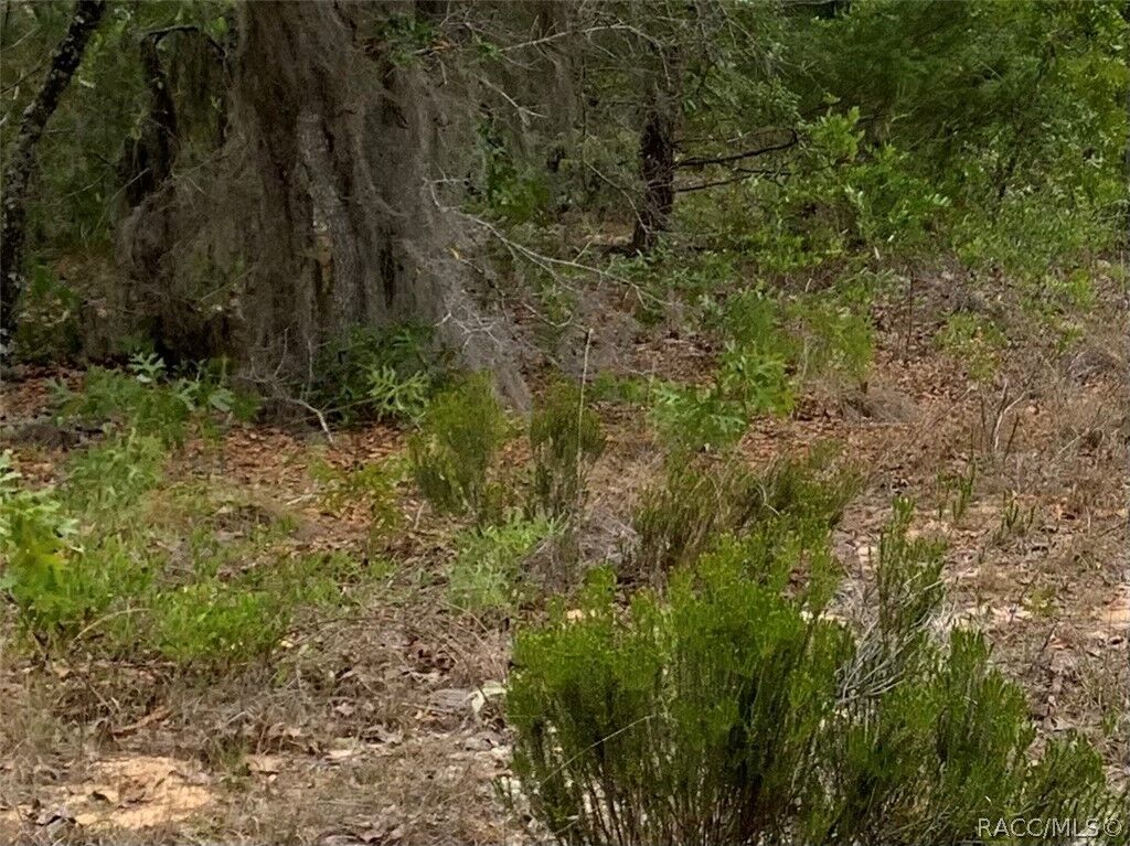 Property Photo:  110 Oklahoma Street  FL 32640 