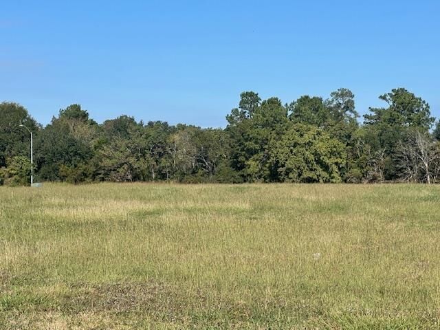 Property Photo:  6045 Omar Street  TX 77707 