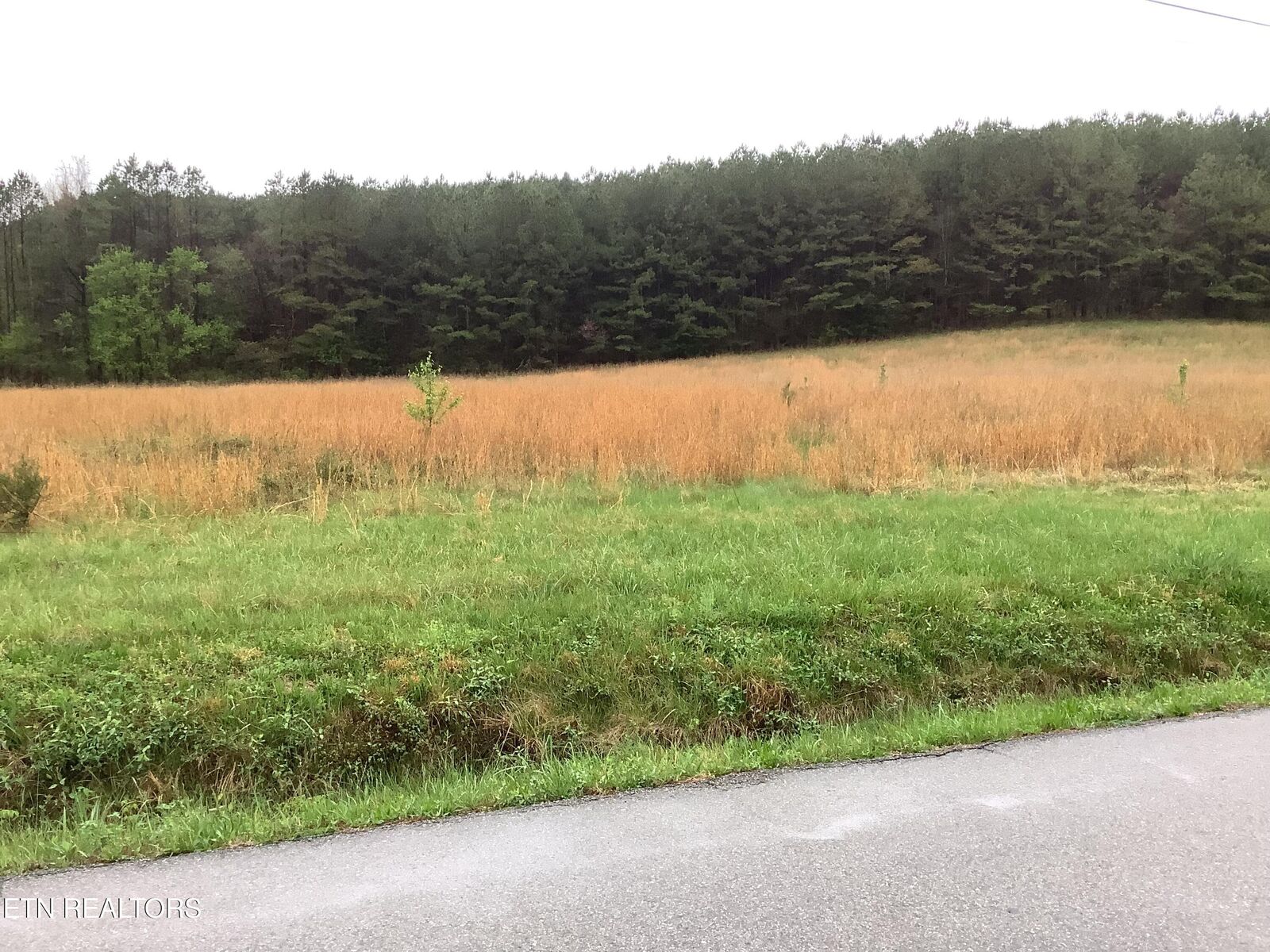 Property Photo:  113 Woods Hollow Rd  TN 37322 