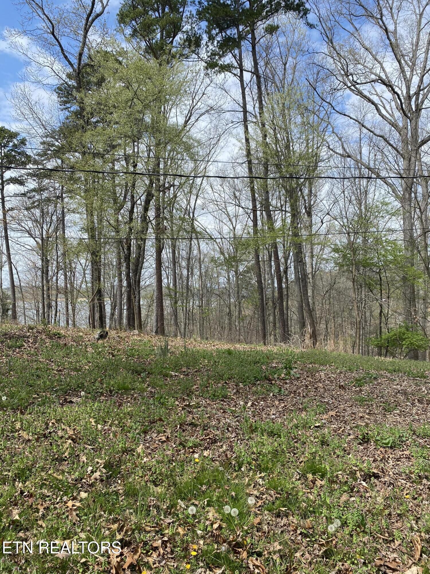 Property Photo:  Lot 429 Mayflower Lane  TN 37725 
