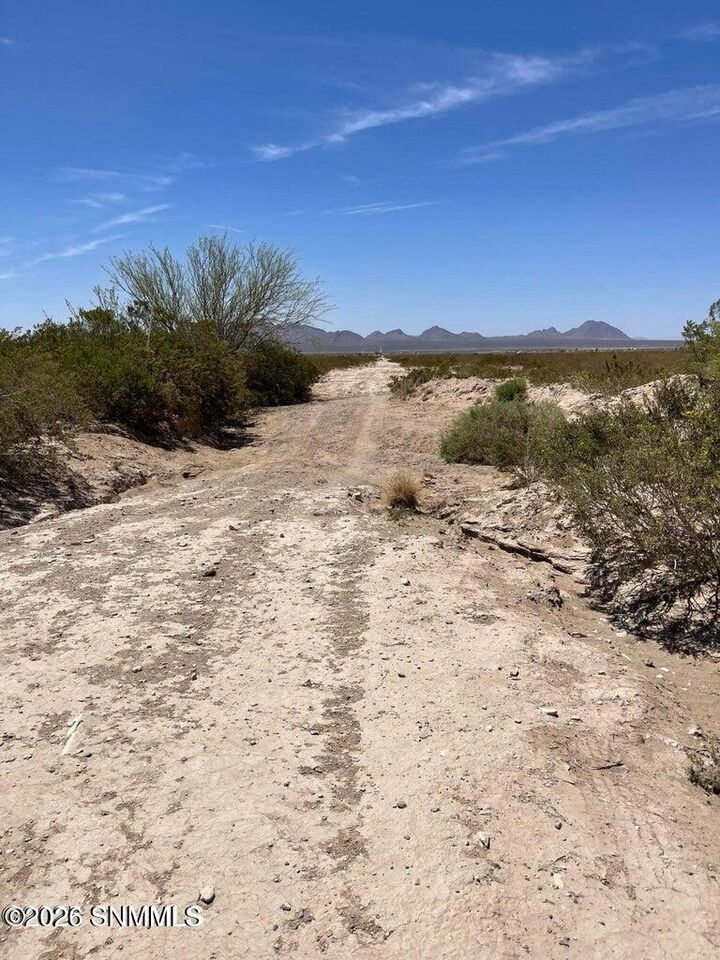 Property Photo:  9245 Rabbit Run Road  NM 88012 