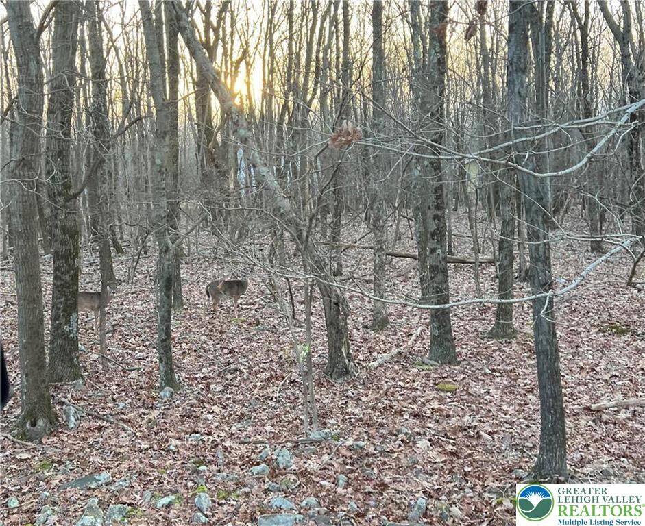 Property Photo:  36 Occoquan Trail  PA 18210 
