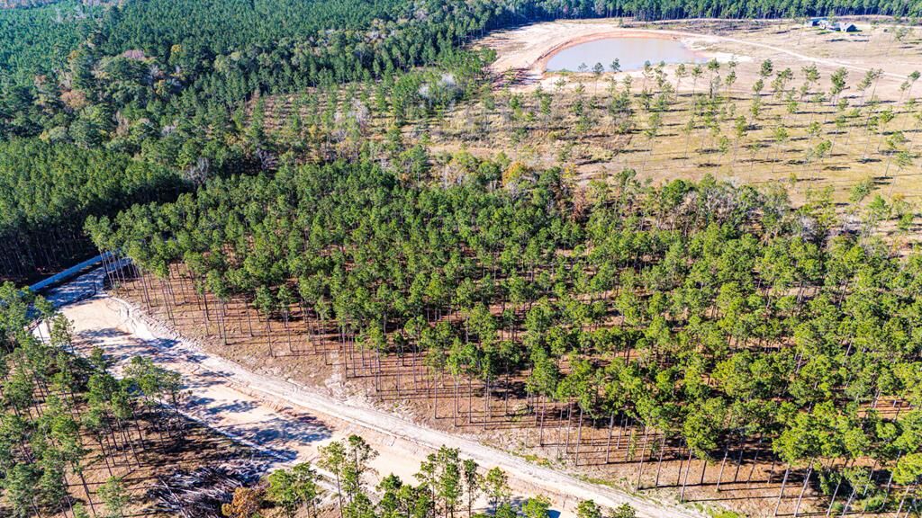 Property Photo:  Lot 12 Big Buck Drive  TX 75960 