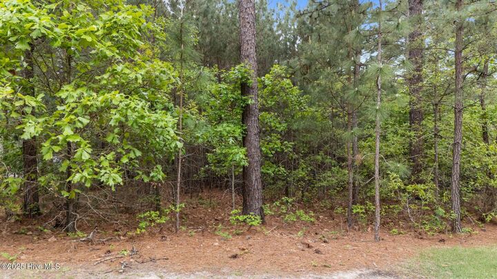 Property Photo:  113 Baker Circle  NC 27376 