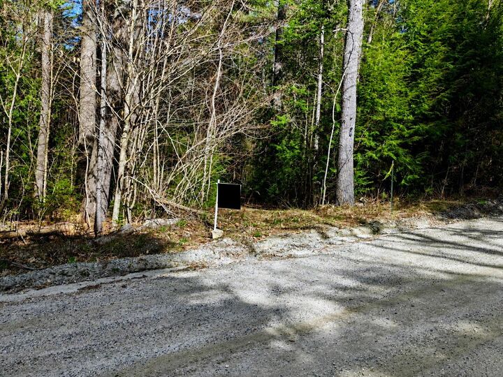 Property Photo:  184 Brock Hill Road  NH 03741 
