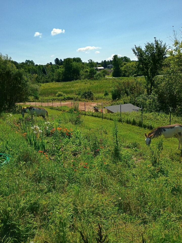 Property Photo:  887 68th Avenue F  WI 54001 