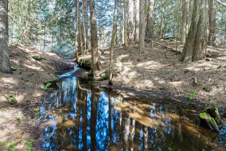 Property Photo:  242 Quartz Rd  WA 99156 