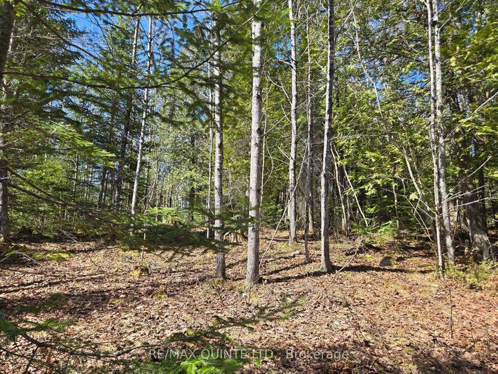 Property Photo: 40 Marquardt Road ON K0H 1K0