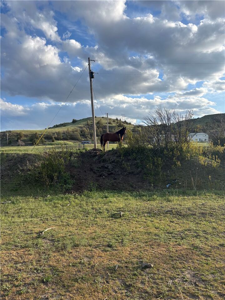 Property Photo: 0 Blue Creek Road MT 59101