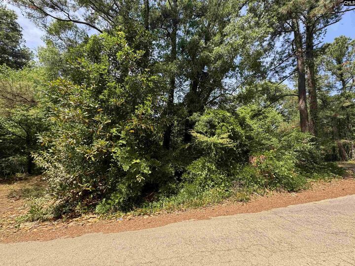 Property Photo:  1331 Boston  SC 29203 