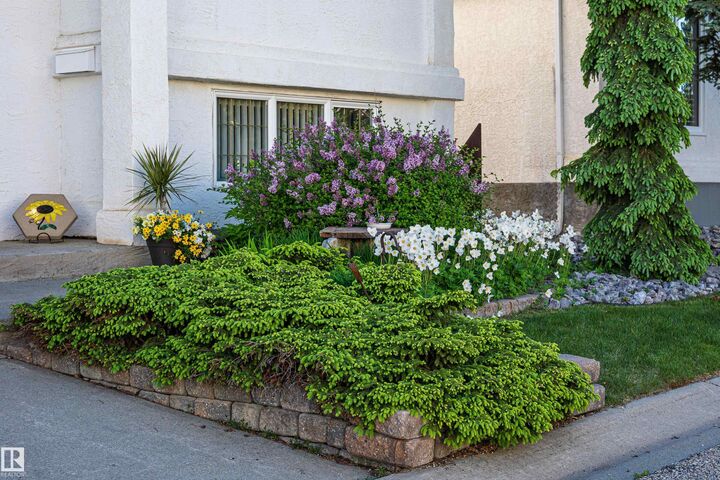 Property Photo: 11686 15 Avenue NW AB T6J 7E1