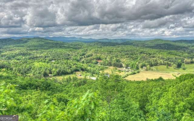 Property Photo:  Lot 1 High Country Lane  GA 30560 