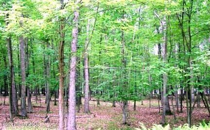 Property Photo: E Lot 099 Chestnut Drive PA 18202