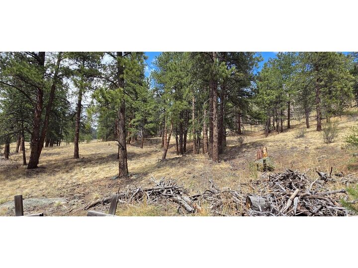 Property Photo: 62430 US Highway 285 CO 80421