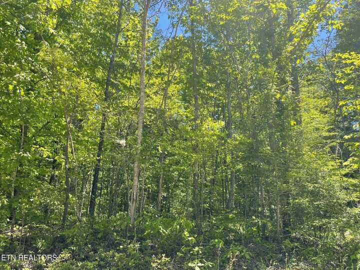 Property Photo:  Rob Watson Rd  TN 37841 
