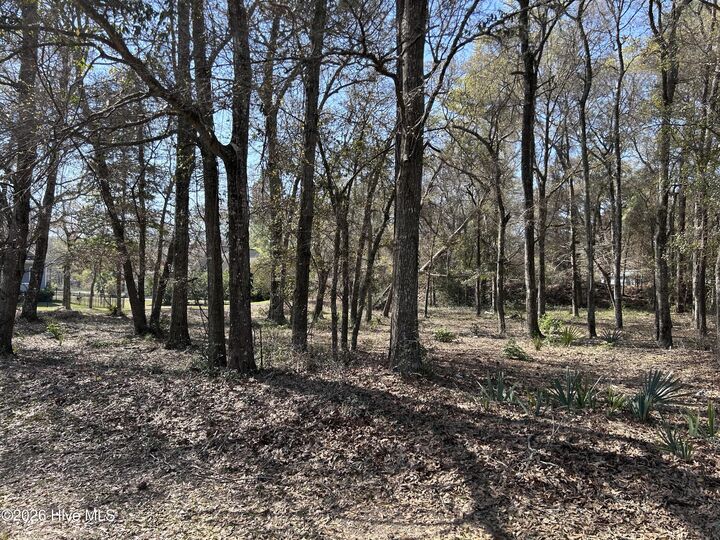 Property Photo: 1951 Redfish Run SW NC 28462