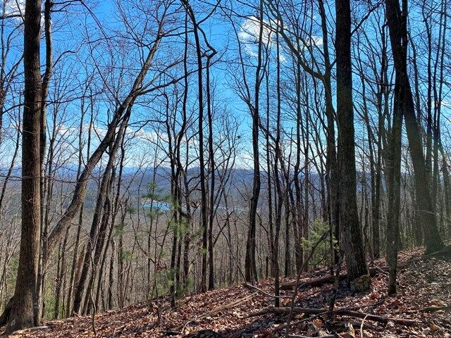 Property Photo:  Lot 1 High Country Lane  GA 30560 