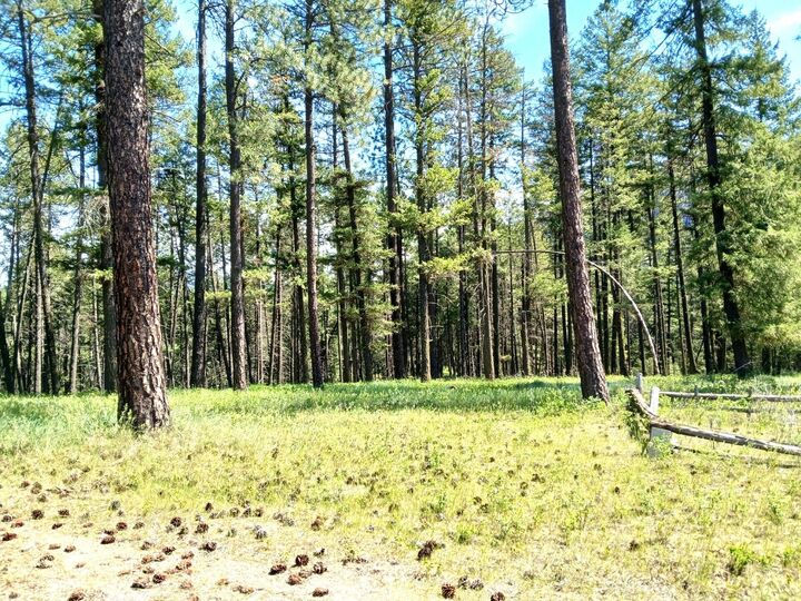 Property Photo:  3406 Beitey Rd  WA 99181 