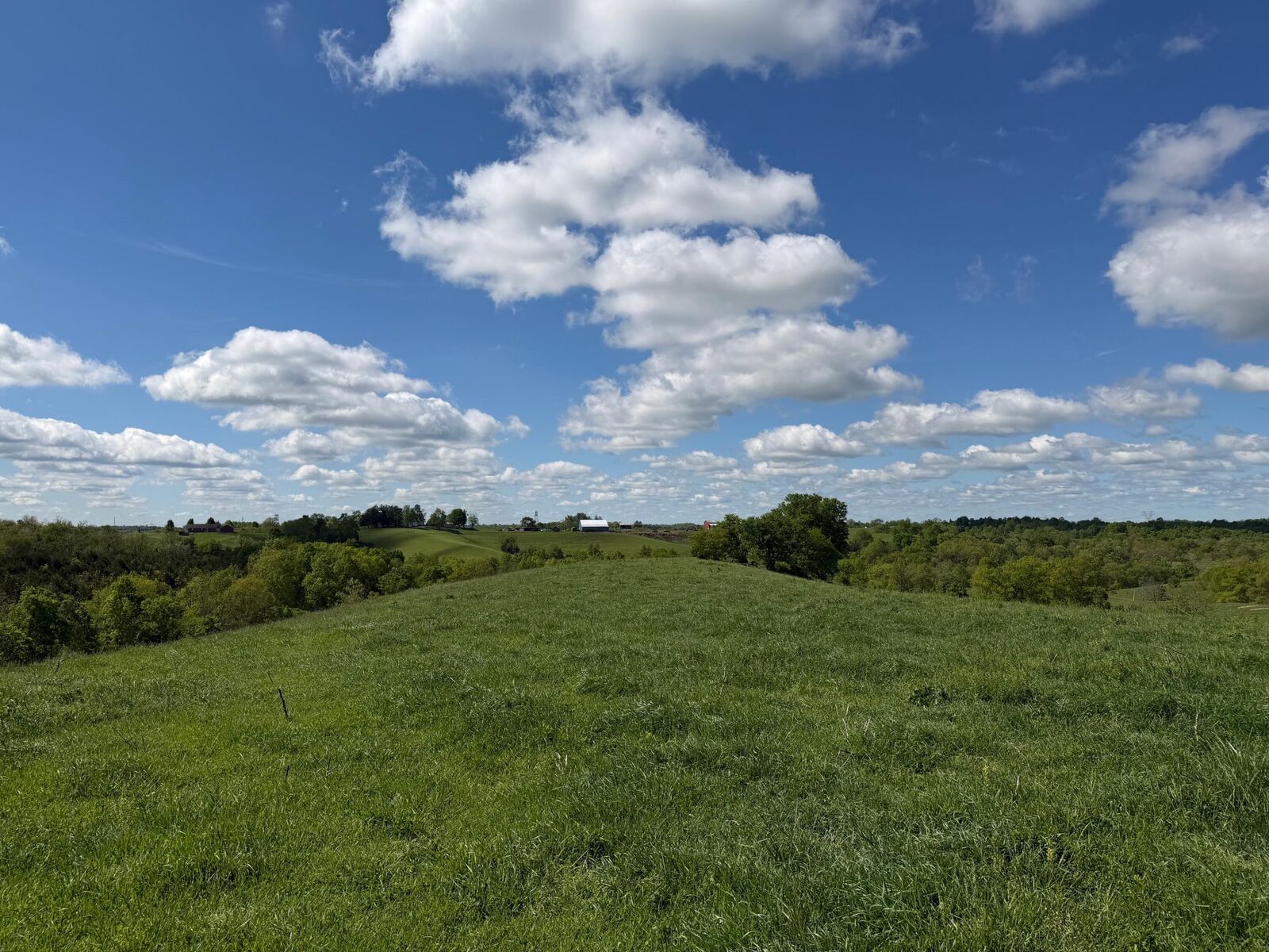 Property Photo:  24.81 Ac Chipman Ridge Road  KY 41097 