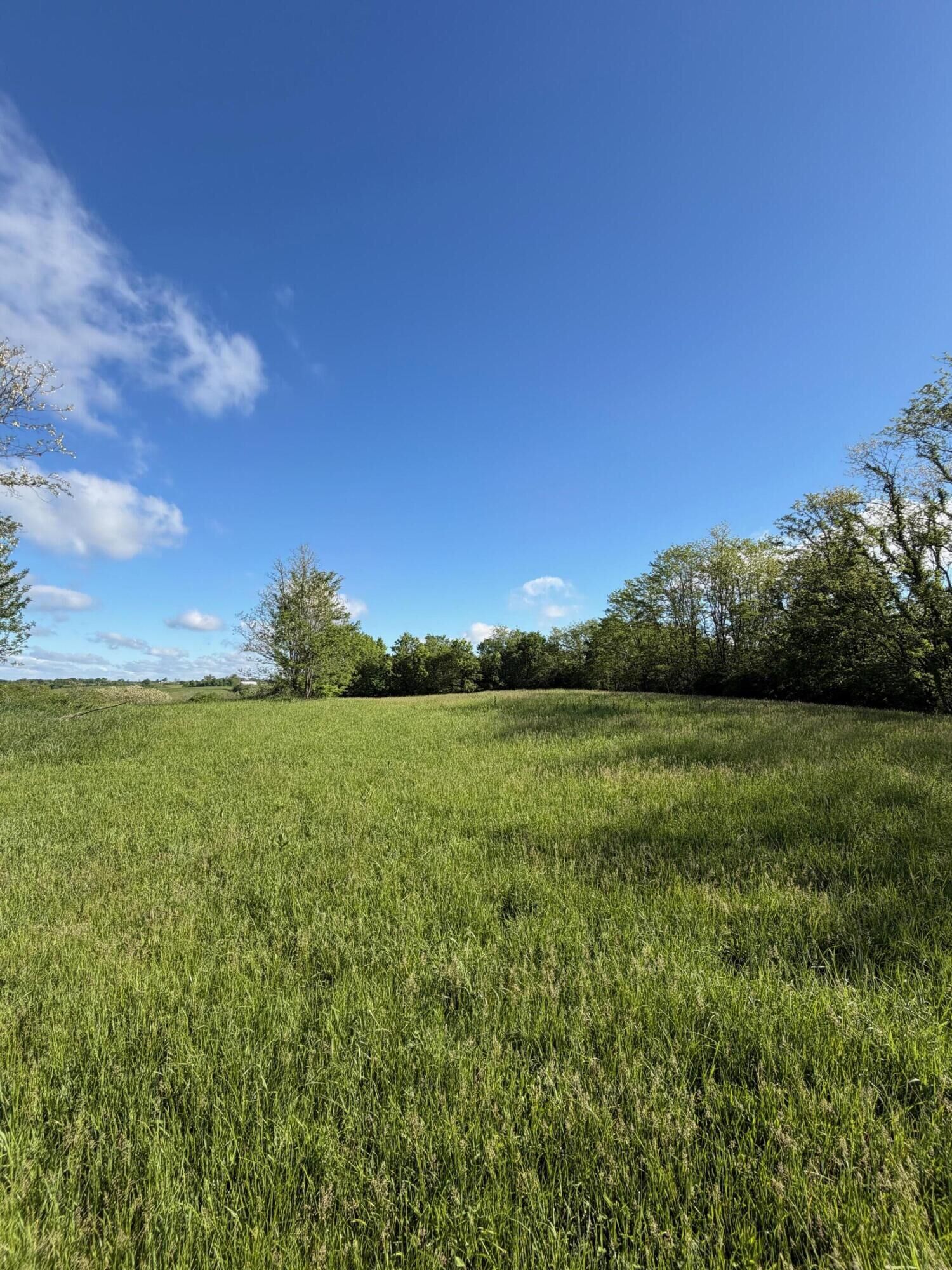 Property Photo:  11.19 Ac Chipman Ridge Road  KY 41097 