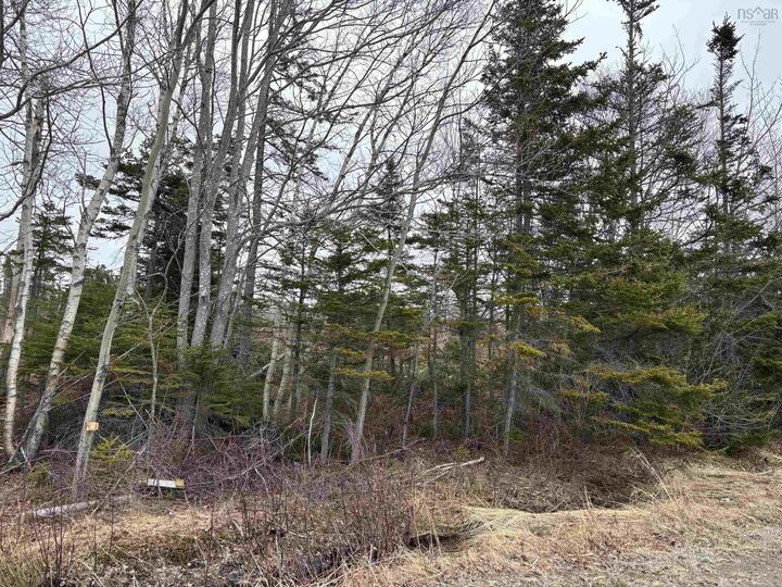 Property Photo:  St. James Road  NS B1X 1A1 