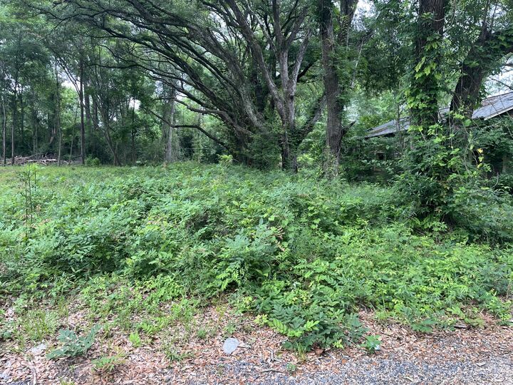 Property Photo:  163 &Amp 141A Pelt  LA 71446 