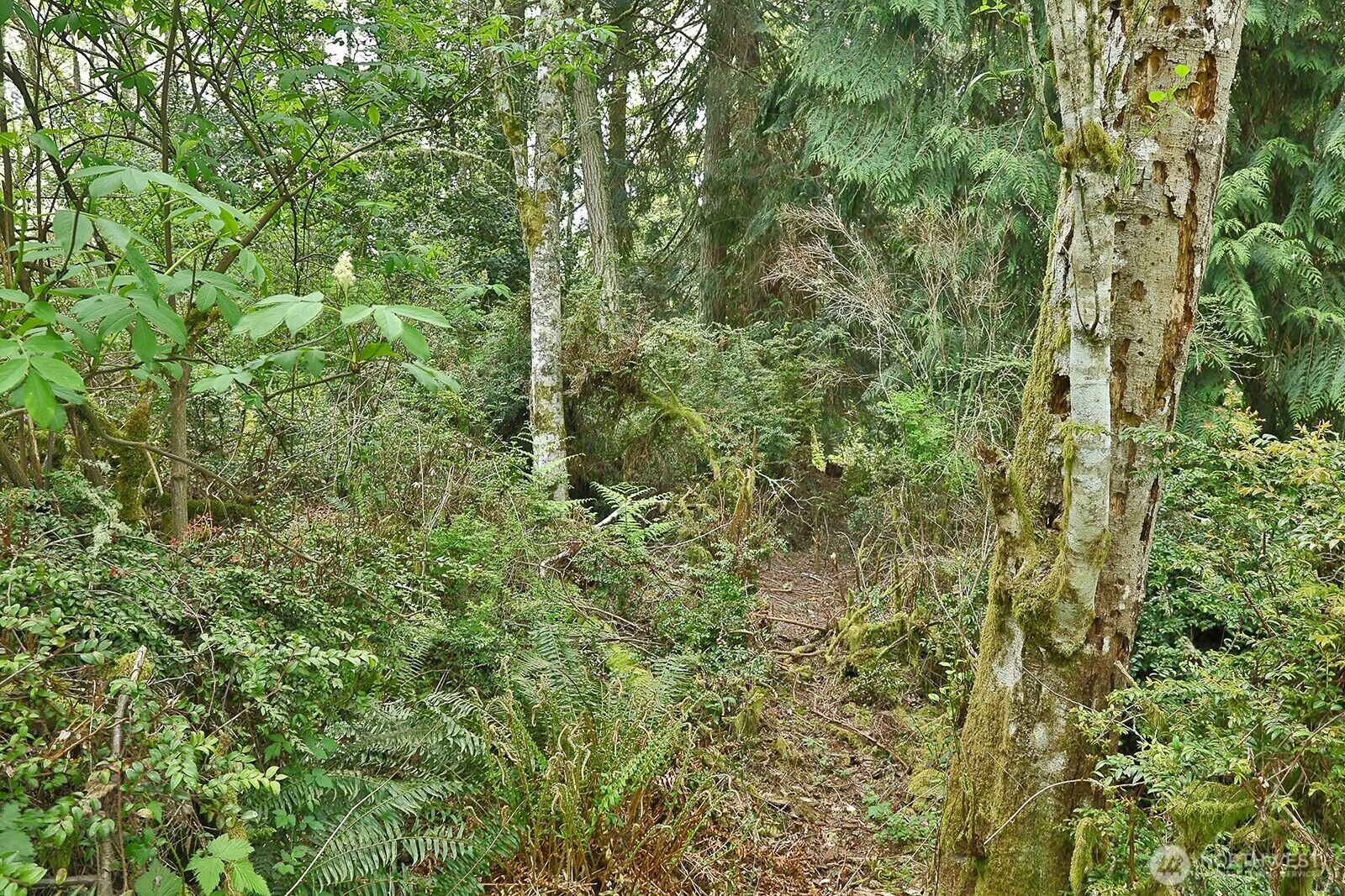 Property Photo:  0 Xxx  Goss Lake Road  WA 98260 