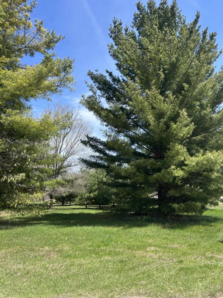 Property Photo:  Lot 30 Vaughn Trail  MI 48750 
