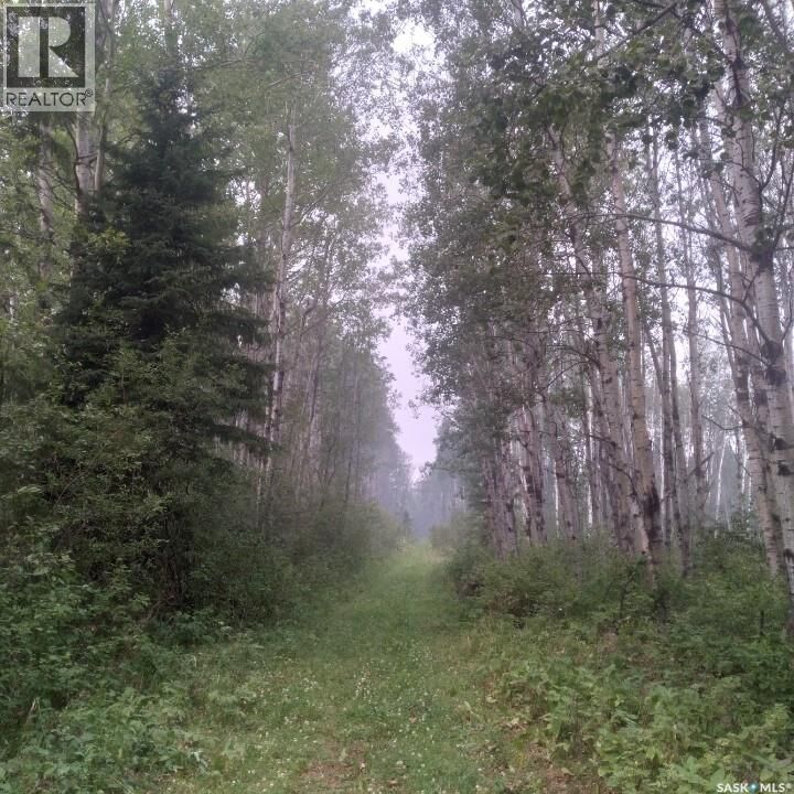 Property Photo:  Delaronde Lake 30 Acres Forest  SK S0J 0E0 