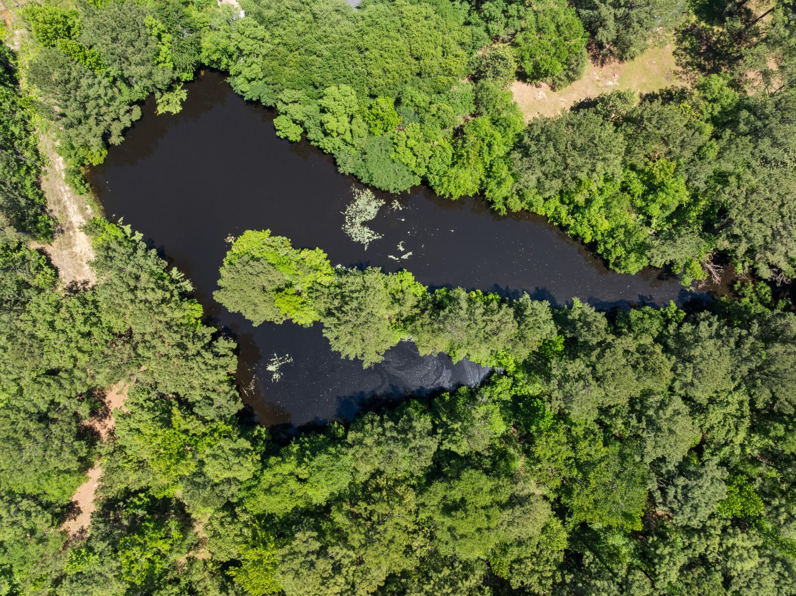 Property Photo:  51 Old Rawls Springs  MS 39402 