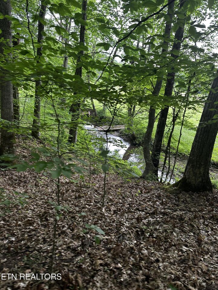 Property Photo:  104 Dug Ridge Rd  TN 37763 