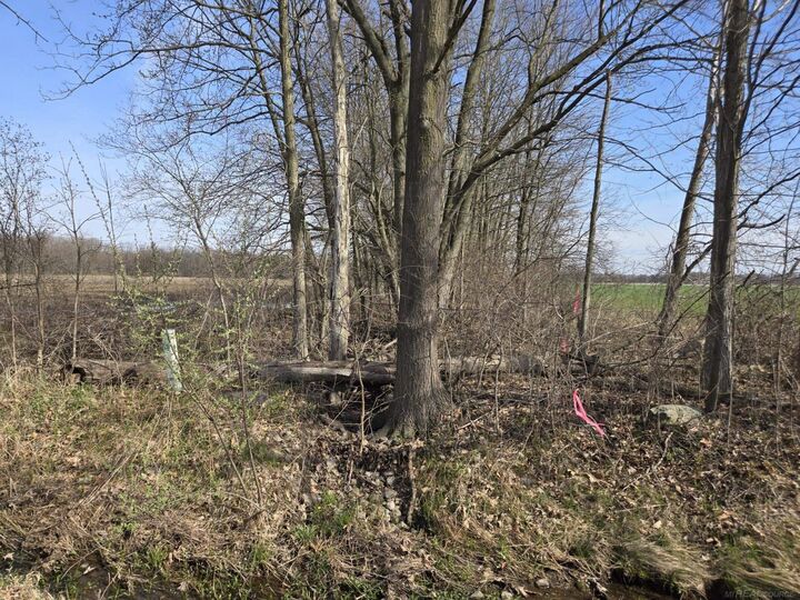 Property Photo:  0 Weber (Lot B) Road  MI 48063 