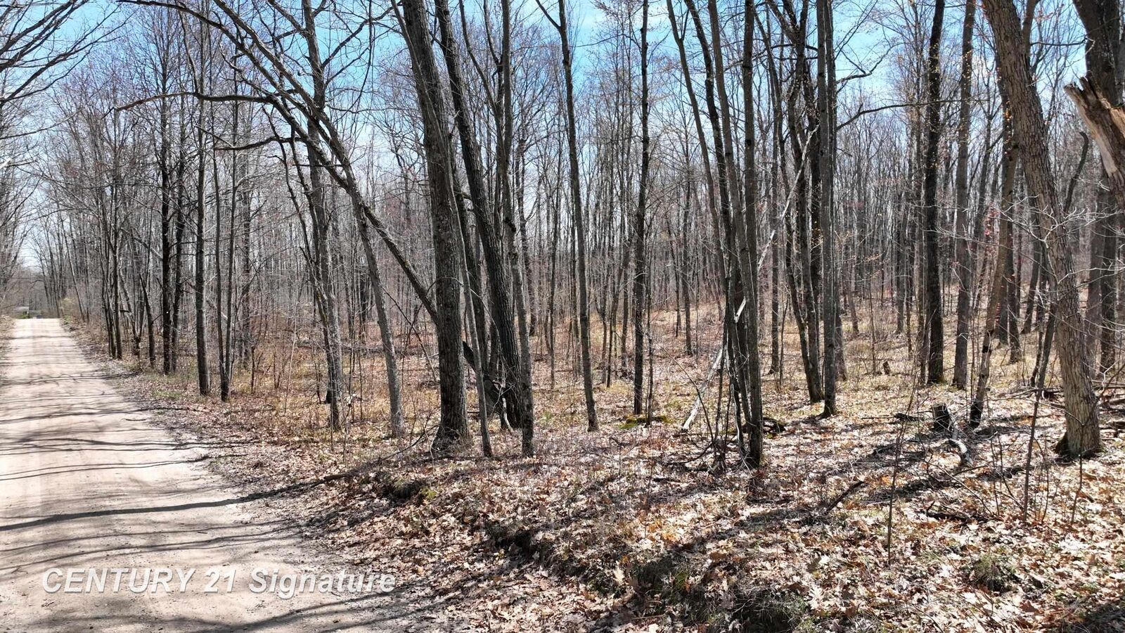 Property Photo:  8995 N Harrison Avenue  MI 48625 