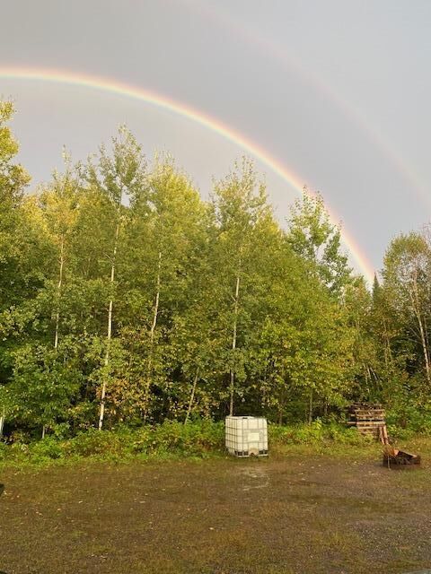 Property Photo:  8225 N Blaisdell Lake  WI 54896 